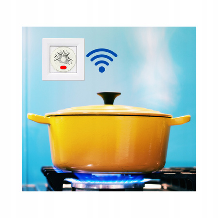 CZUJNIK GAZU ZIEMNEGO PROPAN BUTAN DETEKTOR WYKRYWACZ TUYA WIFI